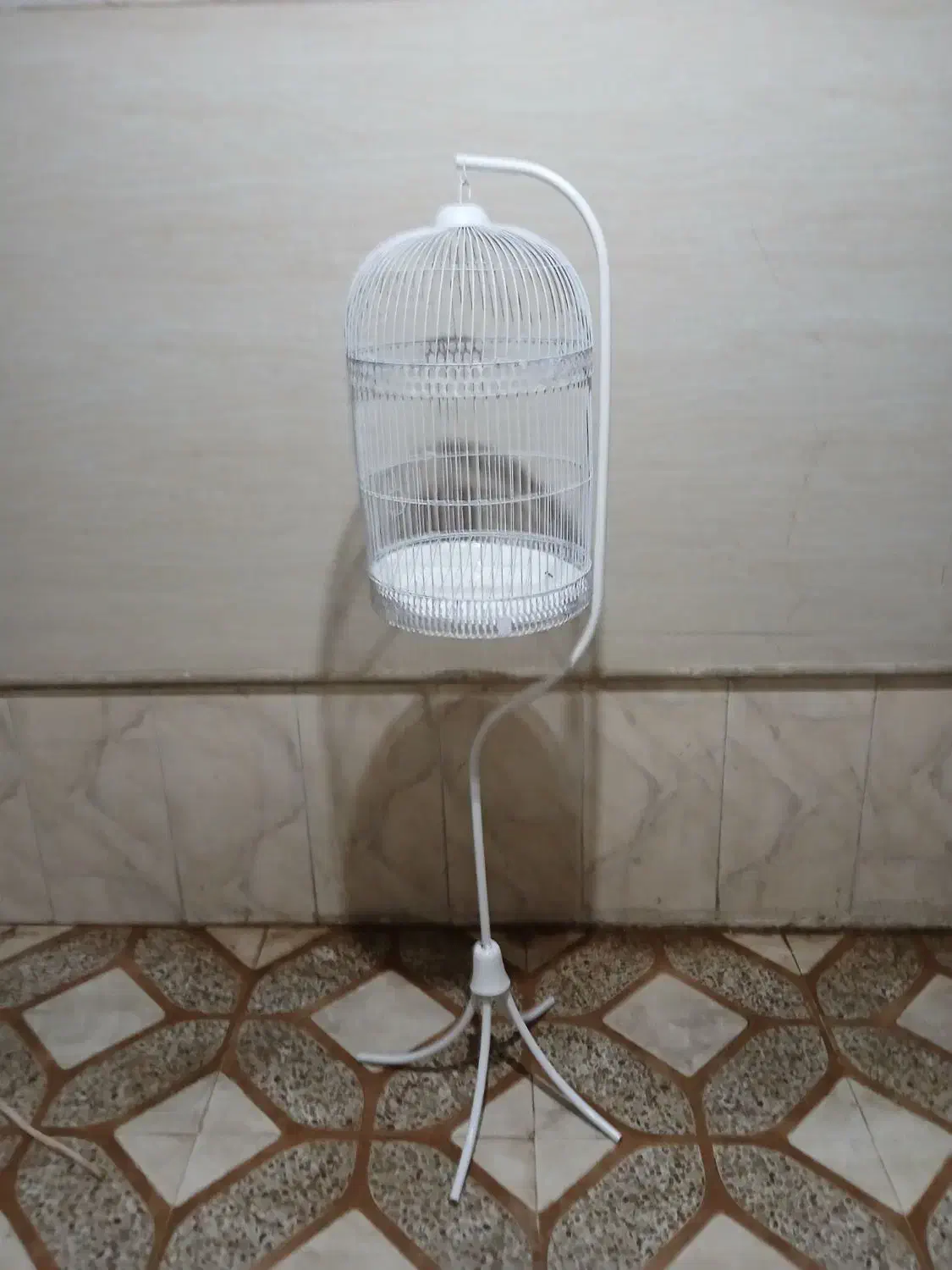 قفس پرند شیک|لوازم جانبی حیوانات|مه ولات, |دیوار