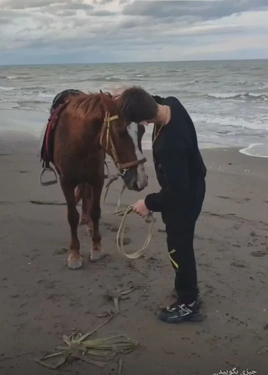 اسب کرسی کرند|اسب و تجهیزات اسب‌سواری|خشکبیجار, |دیوار