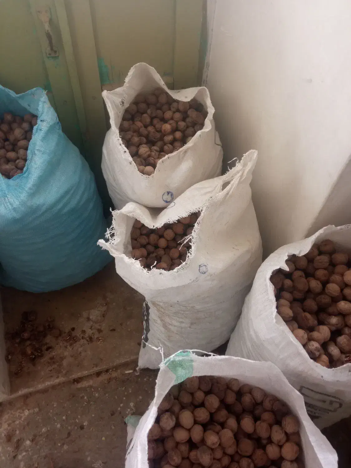 گردو بادم|خوردنی و آشامیدنی|قم, صفائیه|دیوار