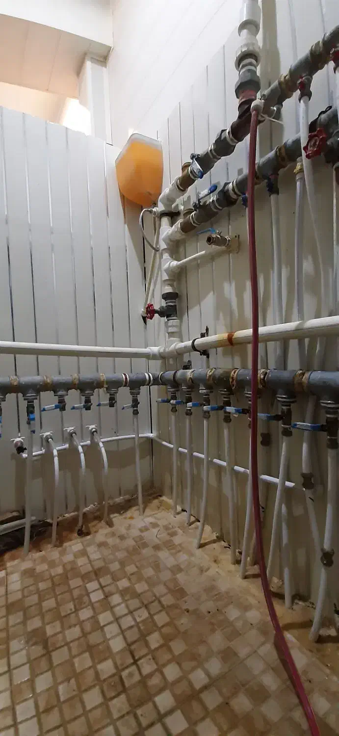 لوله کشی آب و فاضلاب|خدمات پیشه و مهارت|کنارک, |دیوار