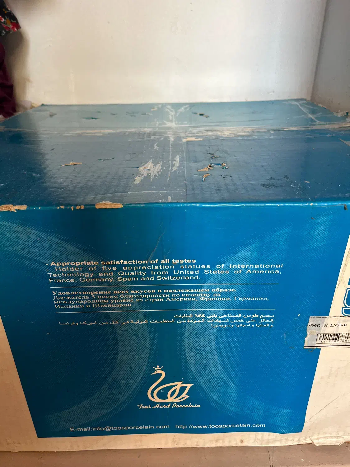 سرویس چینی|ظروف سرو و پذیرایی|ساری, |دیوار