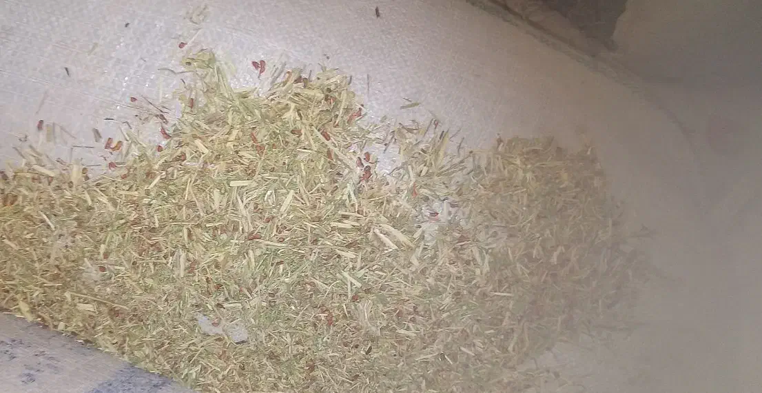 خارشتر نرم و دانه دار|لوازم جانبی حیوانات|نیشابور, ماروسک|دیوار