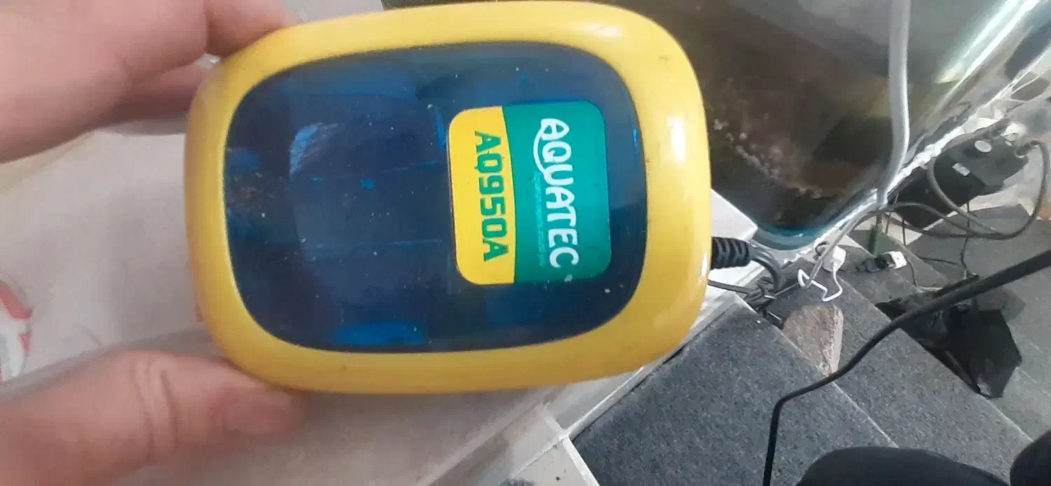 آکواریوم شیشه خم با تمام وسایل|ماهی|تبریز, |دیوار