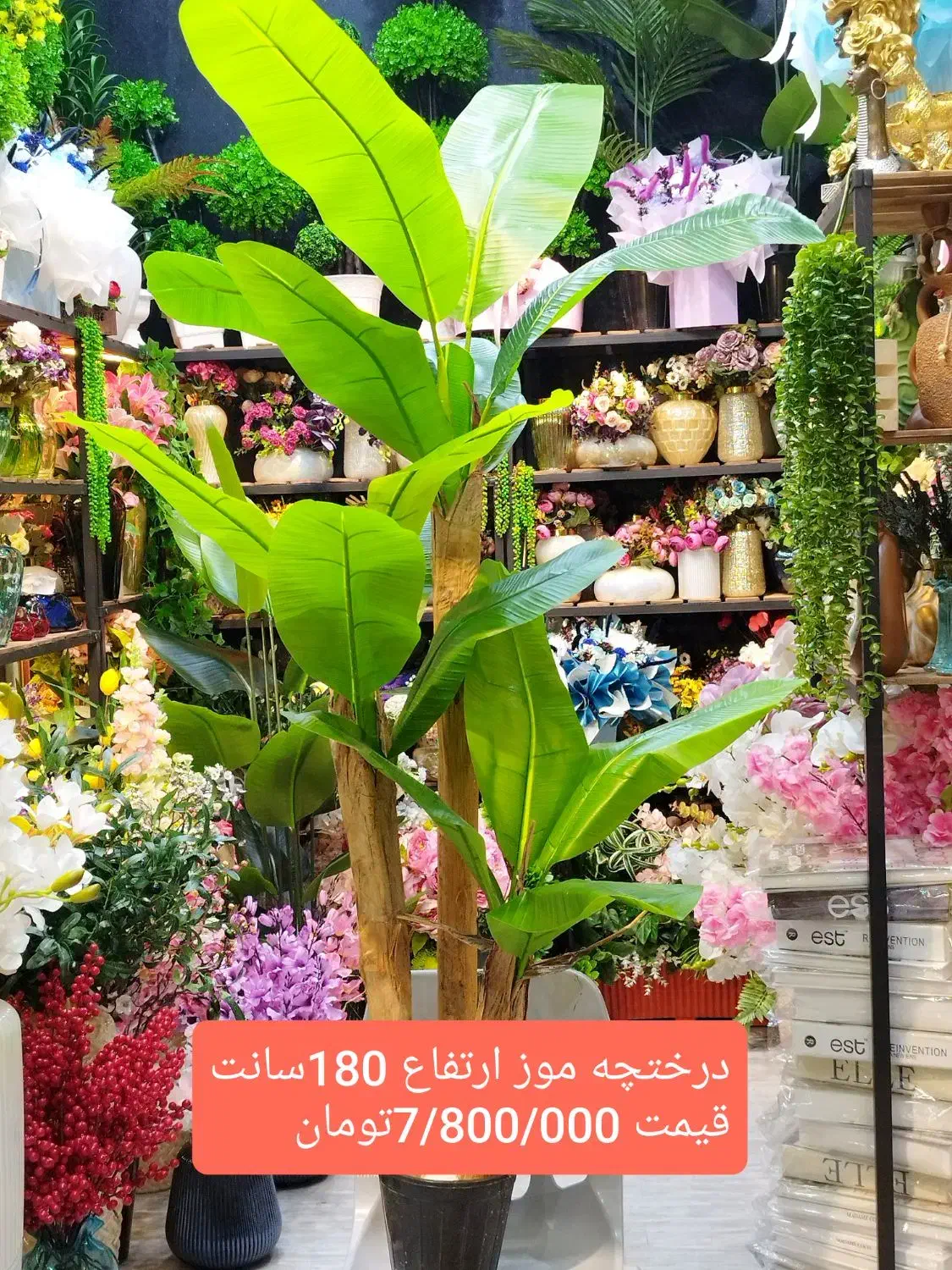 درختچه وارداتی|گل مصنوعی|فردیس, فردیس|دیوار