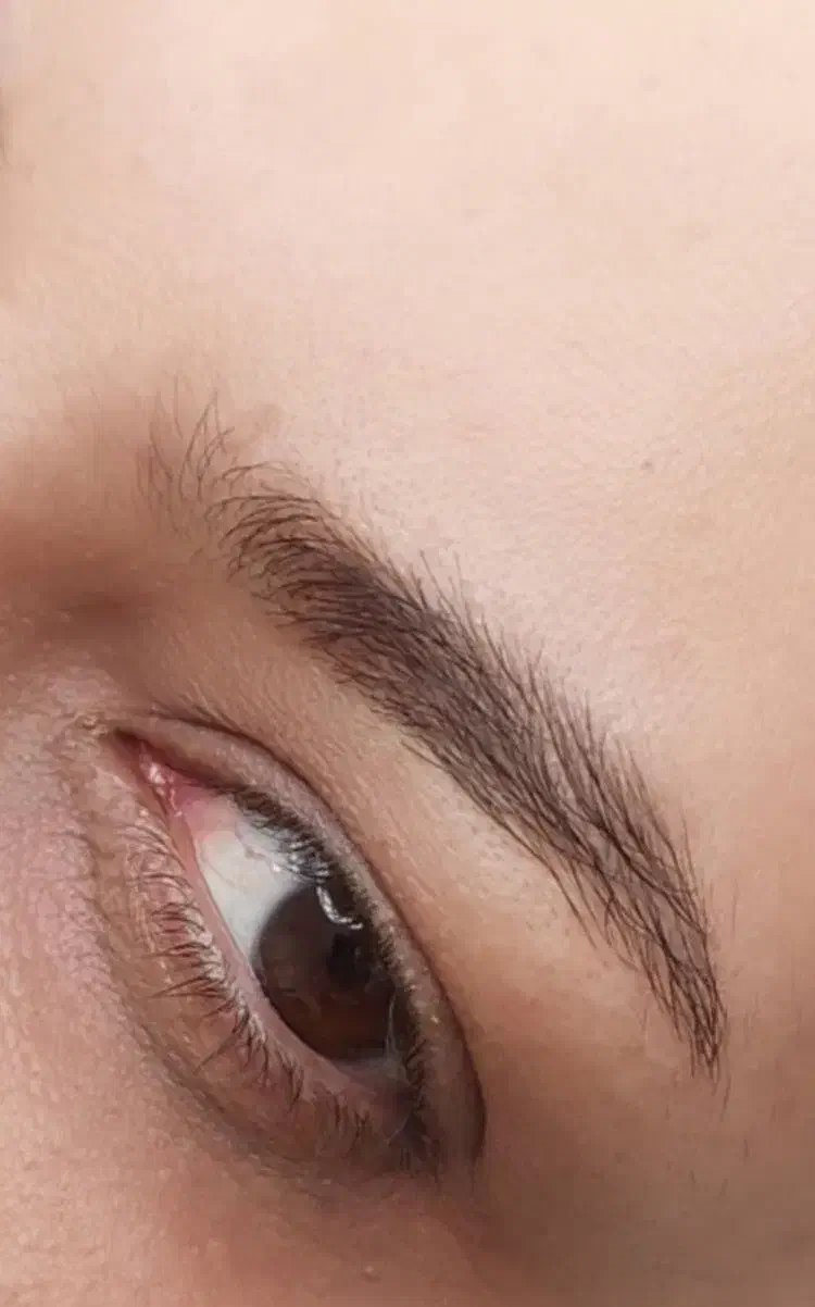 مدل فیبروز ابرو و خط چشم|خدمات آرایشگری و زیبایی|گنبد کاووس, |دیوار