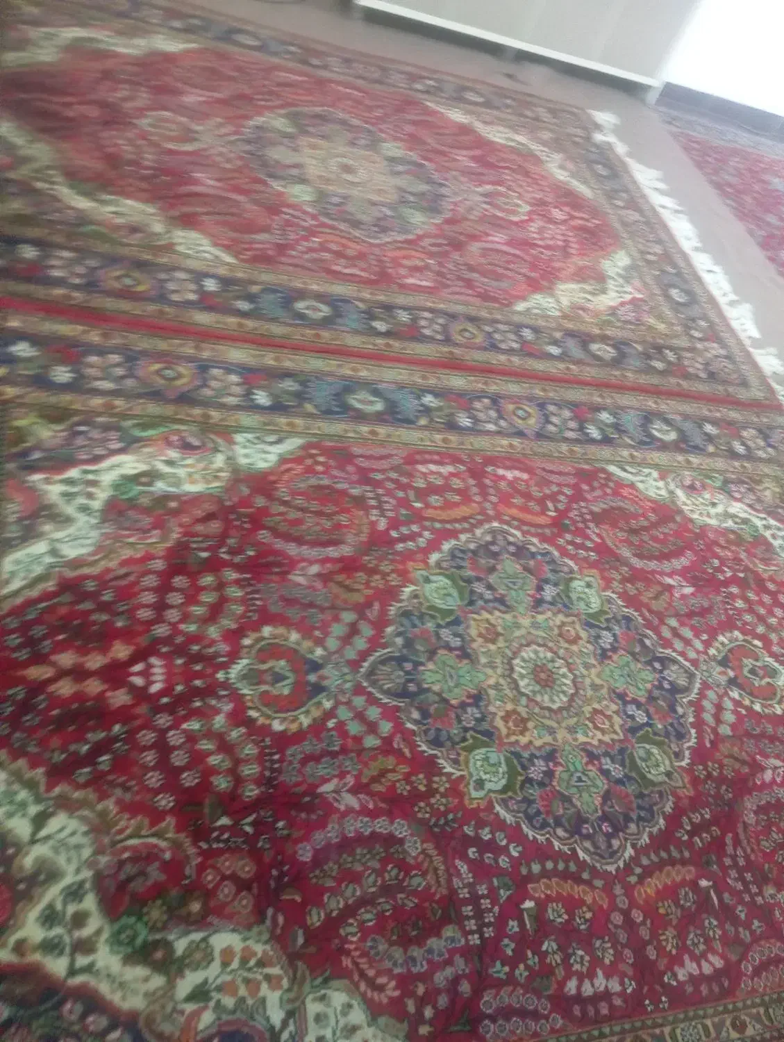 فرش دستباف دوازده متری|فرش|سلماس, |دیوار