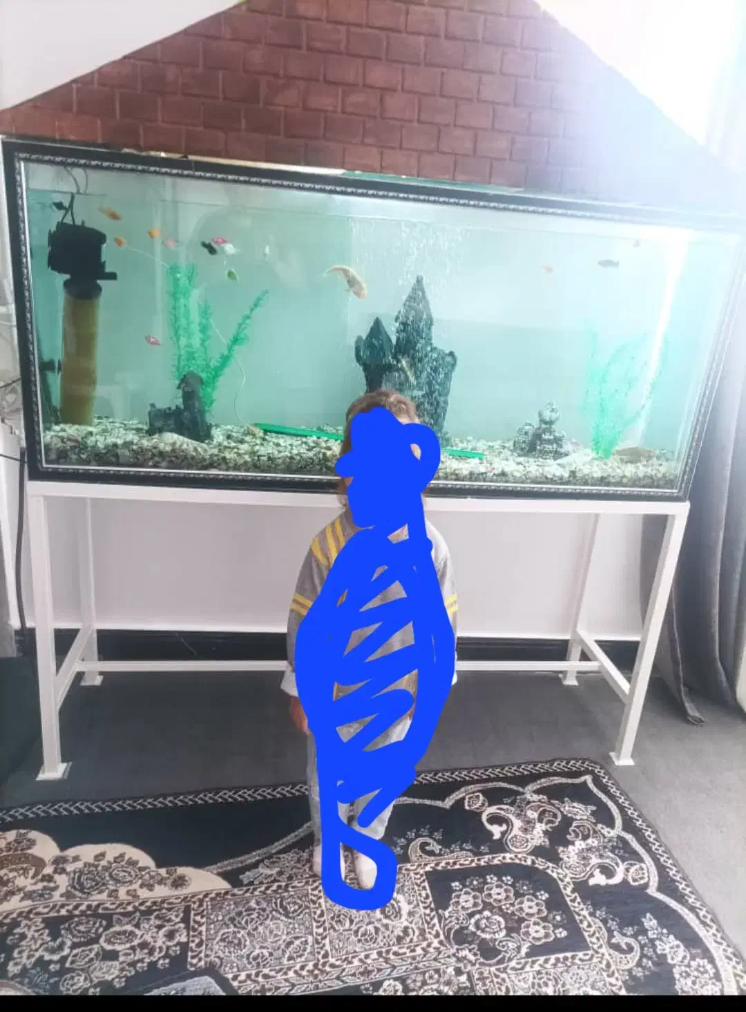 آکواریوم باتمام وسایل فروشی|ماهی|امیدیه, |دیوار