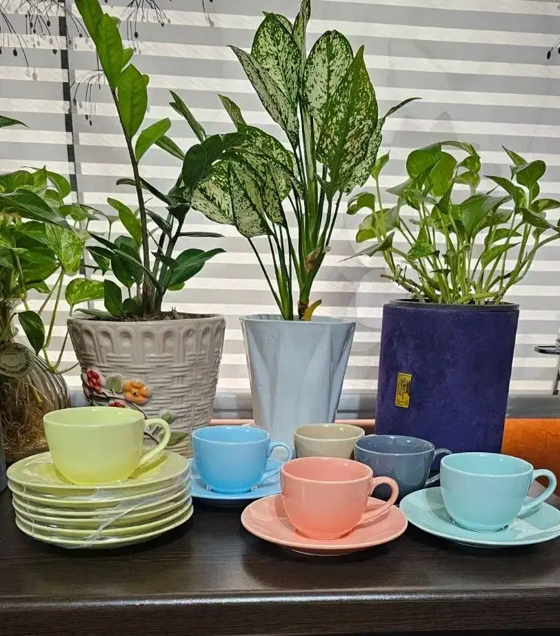 فنجون نعلبکی|سرویس روتختی|لنگرود, |دیوار