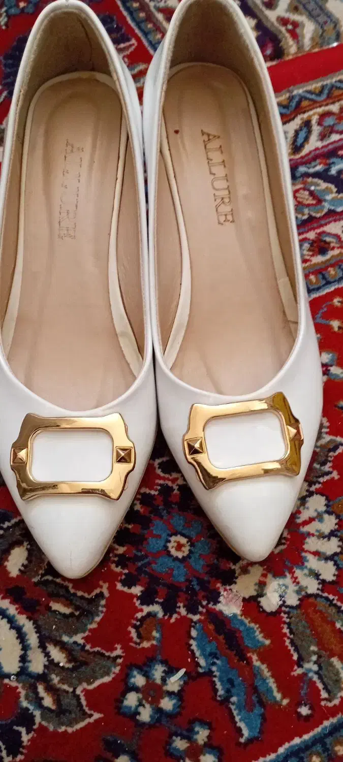 کفش مجلسی|کیف، کفش، کمربند|ورامین, ورامین|دیوار