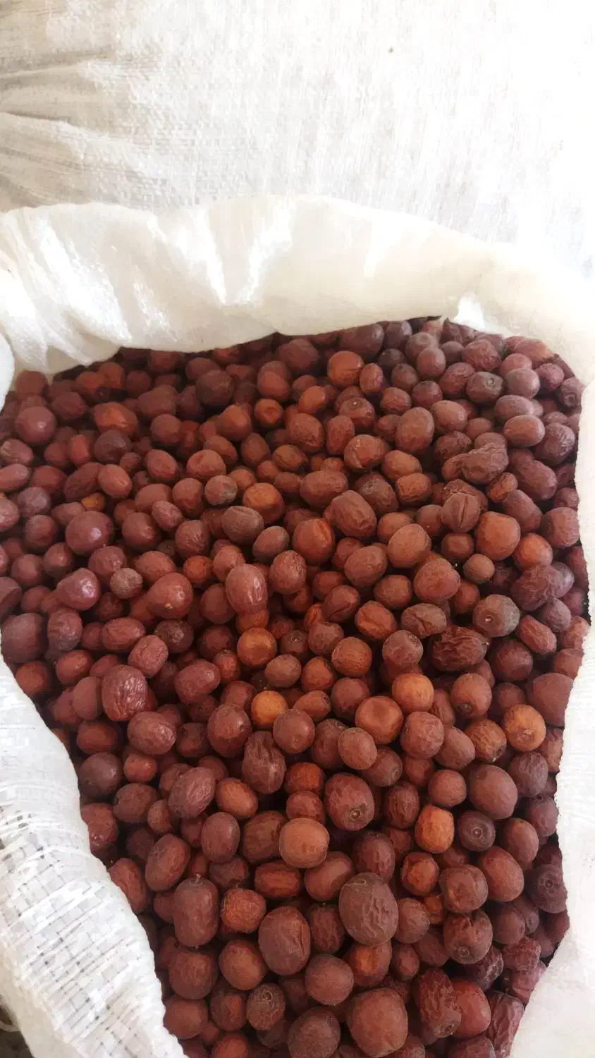 عناب|خوردنی و آشامیدنی|قائن, |دیوار