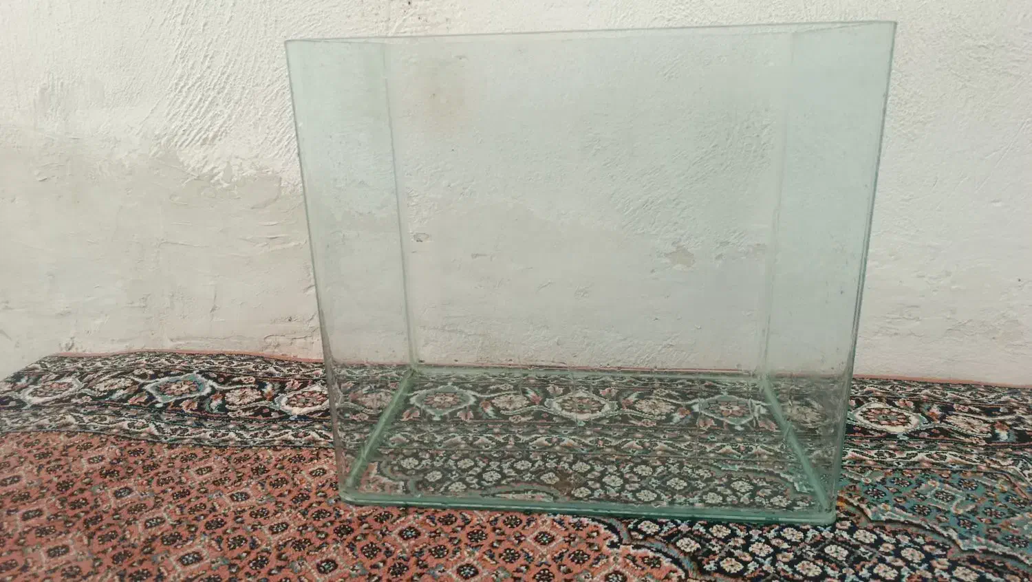 اکواریوم شیشه خم|ماهی|اردبیل, |دیوار