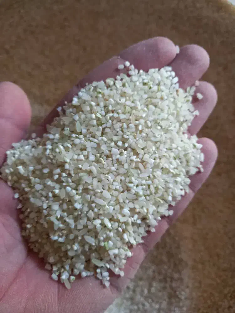 خورده برنج|خوردنی و آشامیدنی|شیراز, کوشک میدان|دیوار