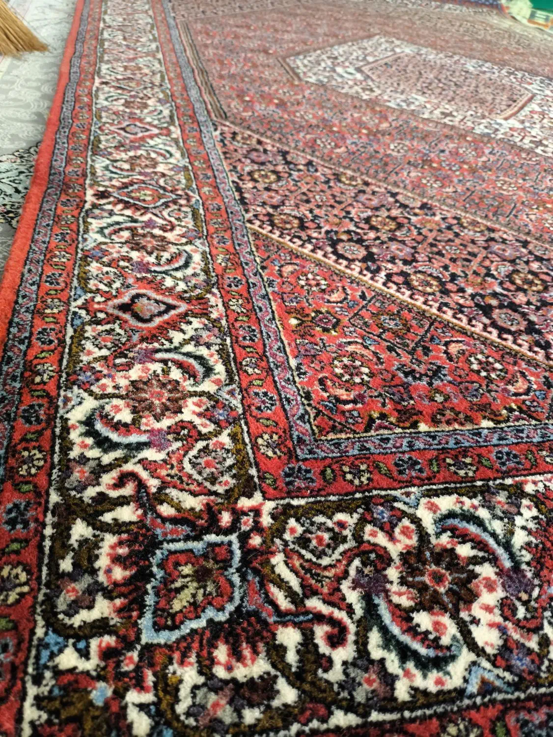 فرش|فرش|زنجان, |دیوار