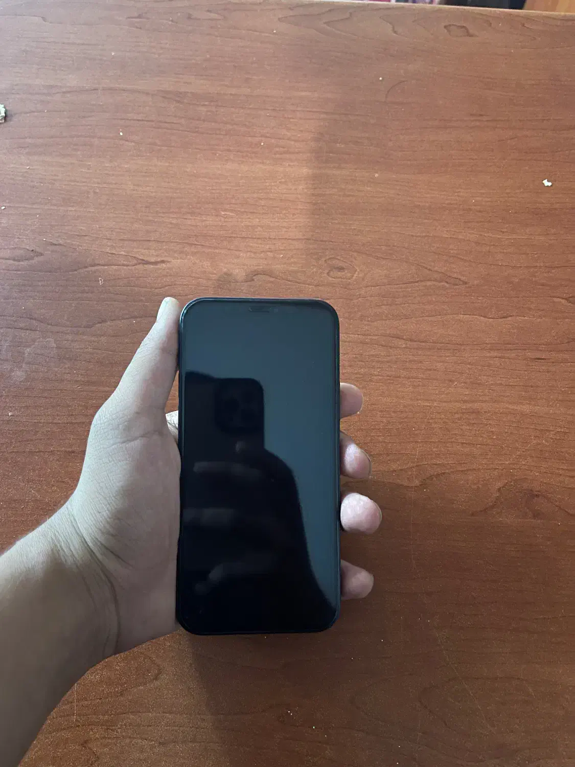 ایفون ۱۲|موبایل|تبریز, |دیوار