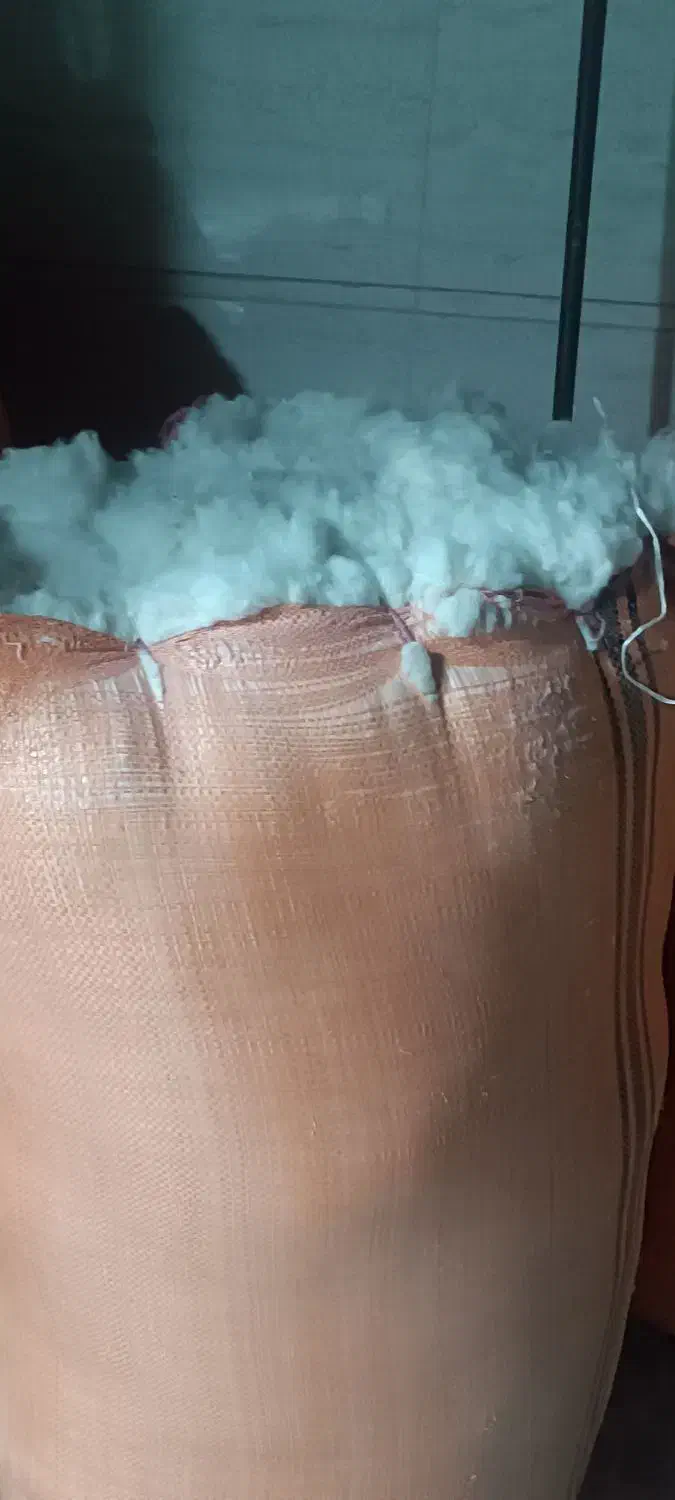 فروش تشک پنبه ای و پنبه نو|رختخواب، بالش، پتو|داراب, |دیوار