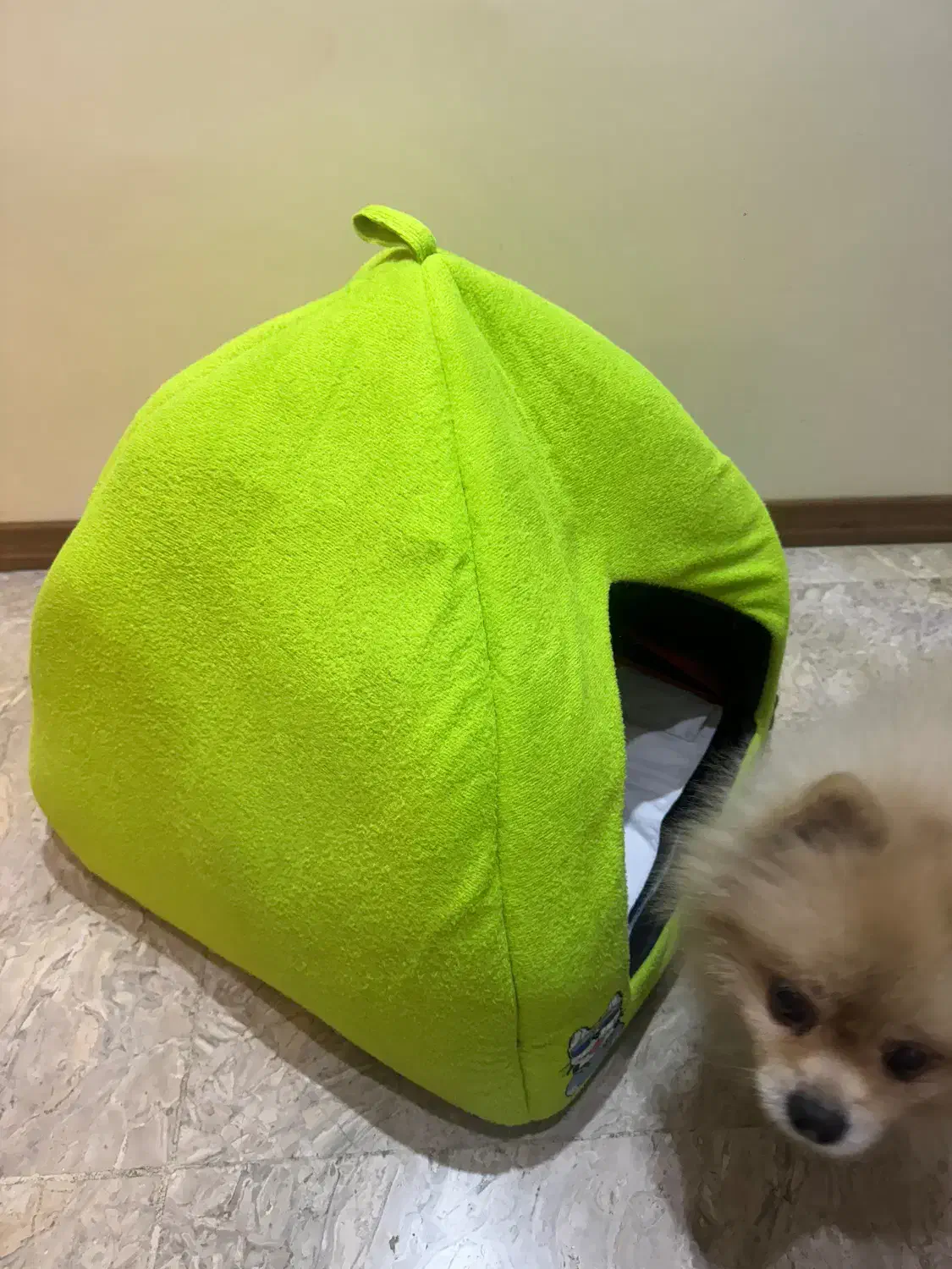 خانه سگ و گربه|لوازم جانبی حیوانات|تهران, قزل قلعه|دیوار