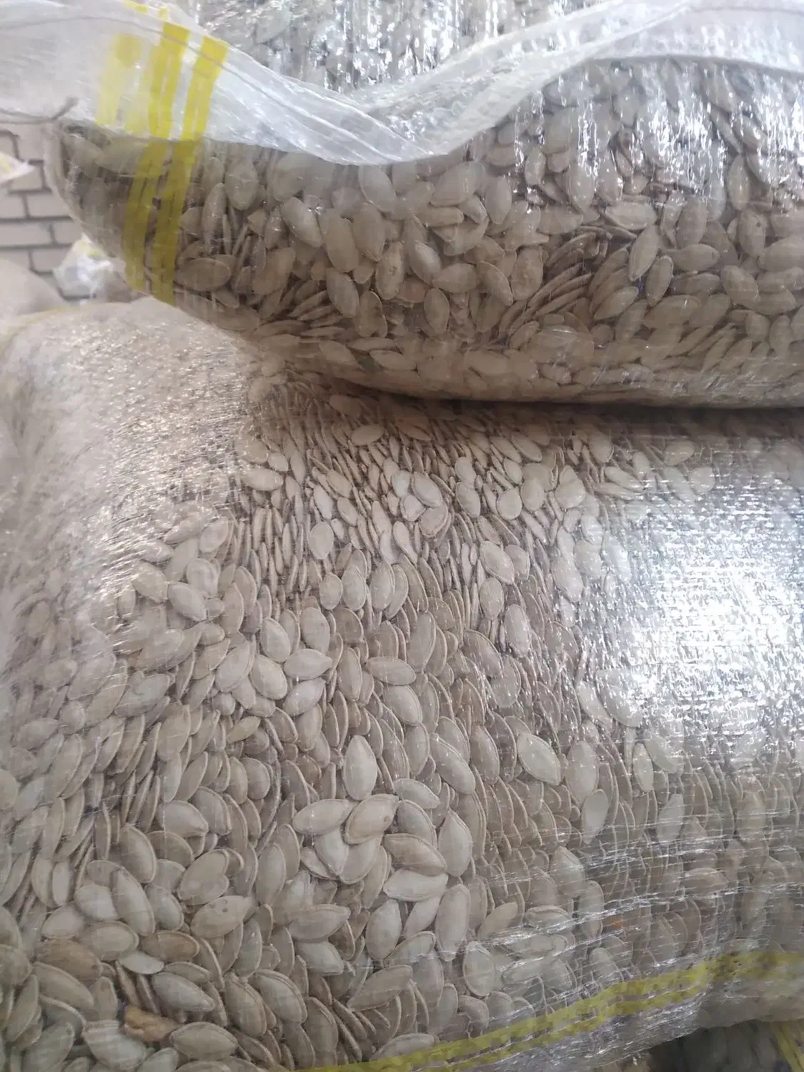 کدو گوشتی ممتاز|عمده‌فروشی|سنندج, |دیوار