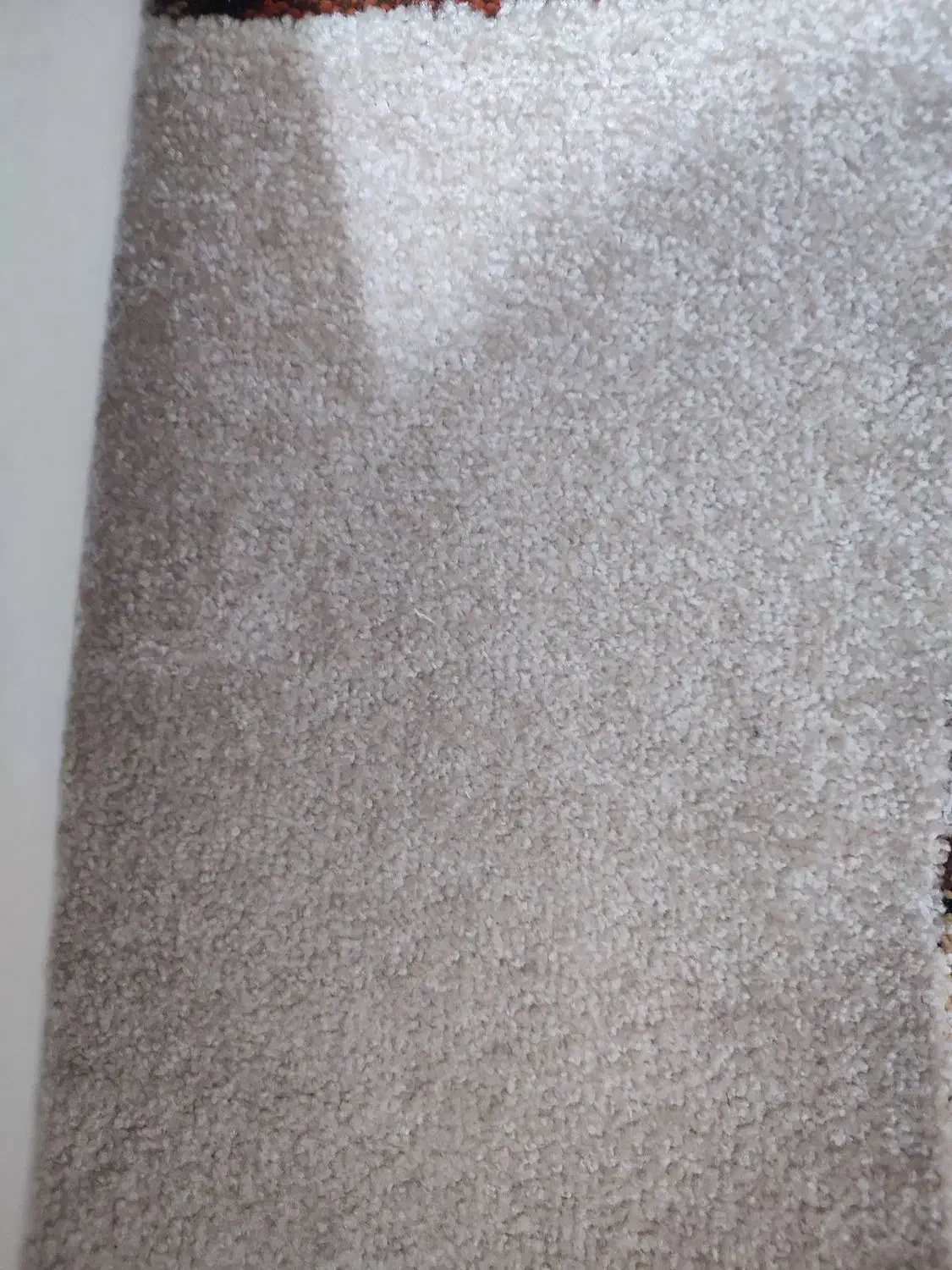 موکت پالاز|موکت|سنندج, |دیوار