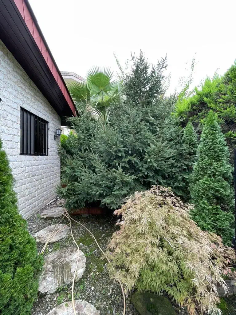 ویلا شهرکی/ سیسرا/مدارک کامل|فروش خانه و ویلا|کلارآباد, |دیوار