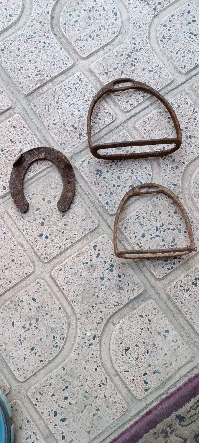 نعل اسب|اسب و تجهیزات اسب‌سواری|اردبیل, |دیوار