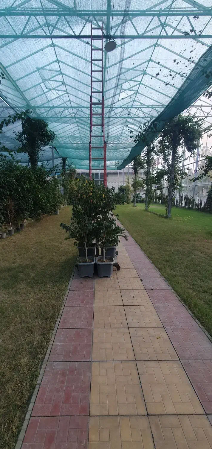 کارگر سرایدارتمام وقت|استخدام سرایداری و نظافت|کردکوی, |دیوار