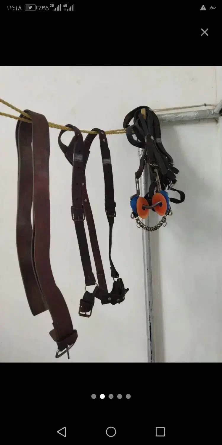 زین بختیاری|اسب و تجهیزات اسب‌سواری|سبزوار, عظیمیان|دیوار