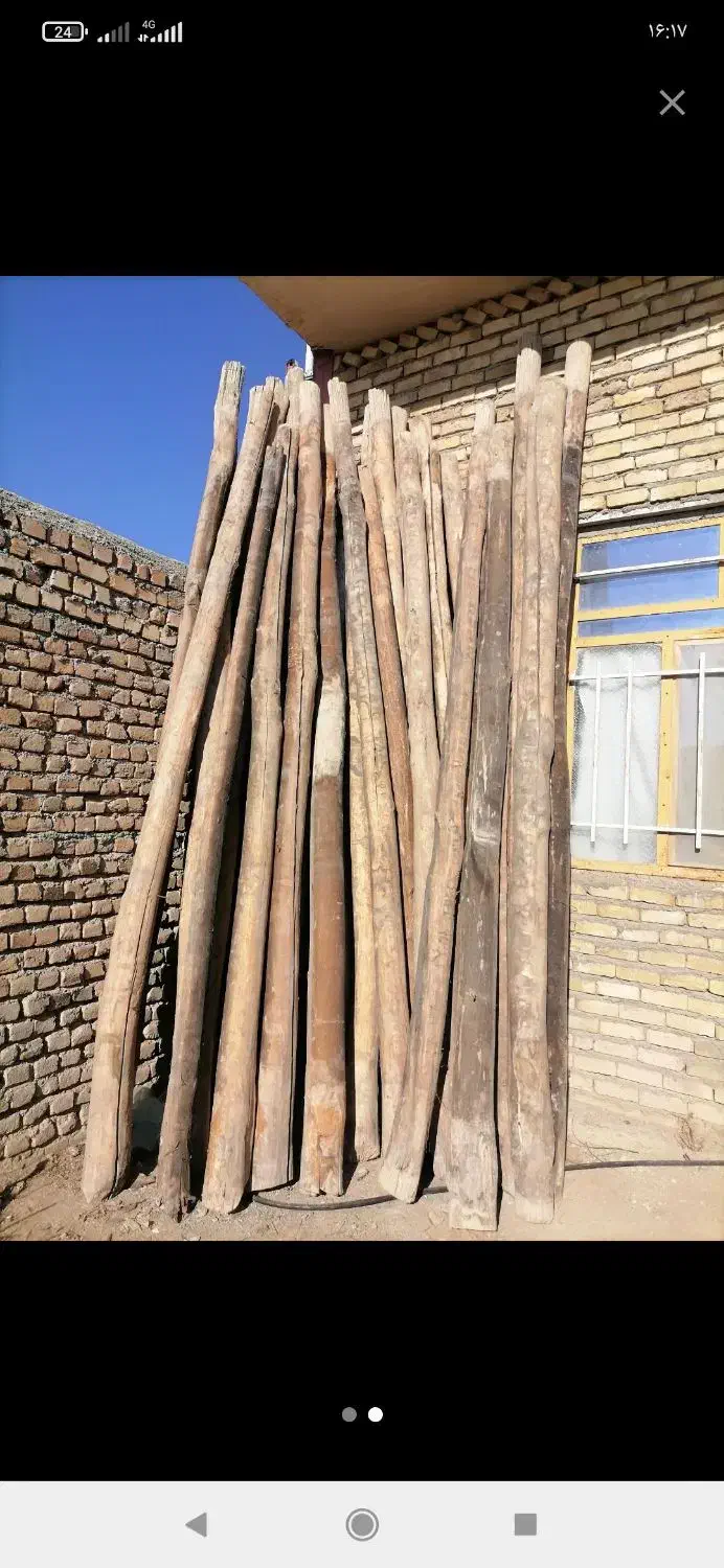 خرید کنده درخت و چوب سقفی|خدمات باغبانی و درختکاری|نیشابور, تریا پارک|دیوار