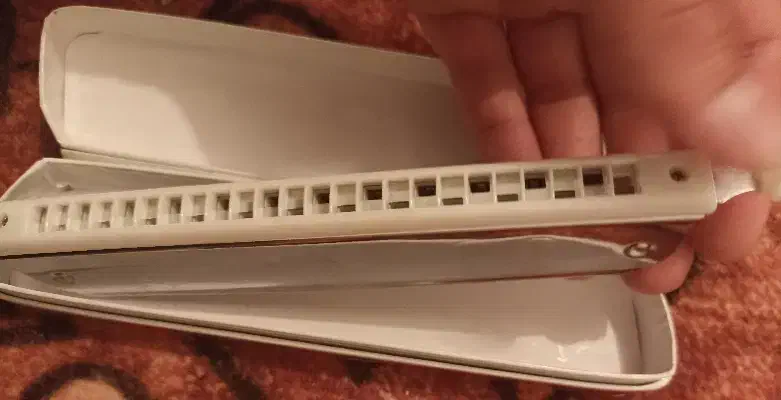 سازدهنی|سازهای بادی|کرمانشاه, |دیوار