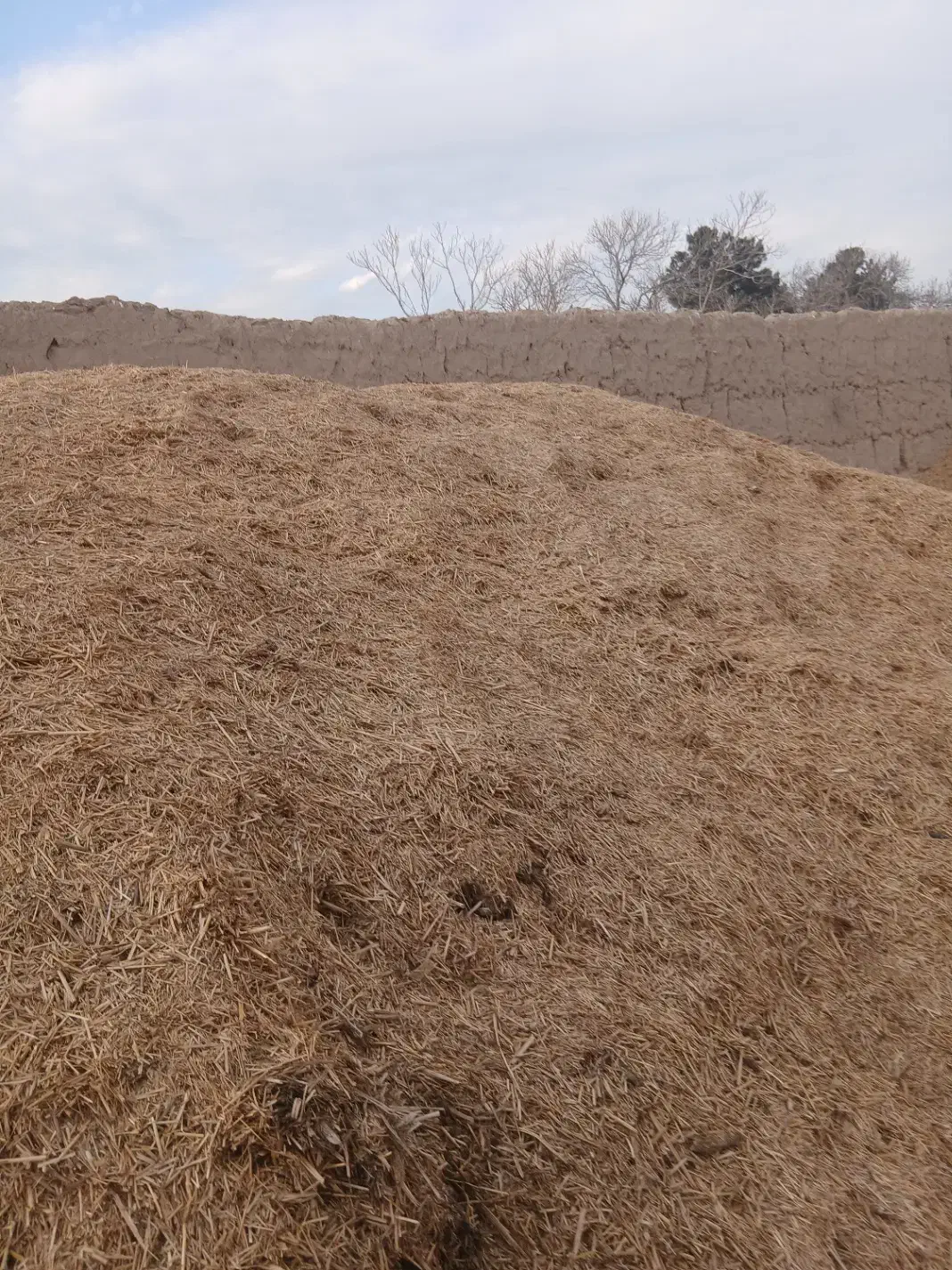 کاه|حیوانات مزرعه|جوادآباد, |دیوار