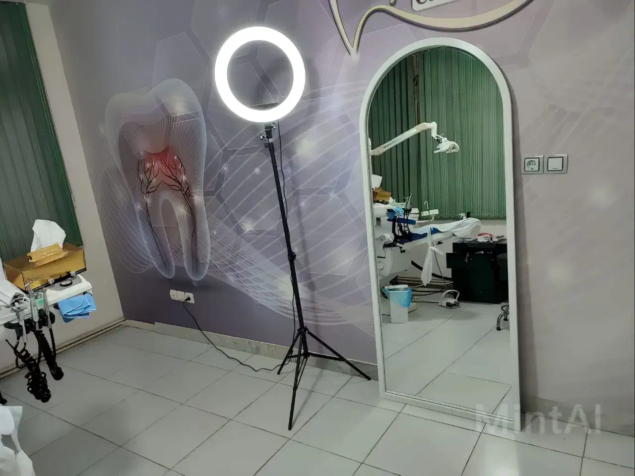 آینه قدی آپامه|آینه|همدان, |دیوار