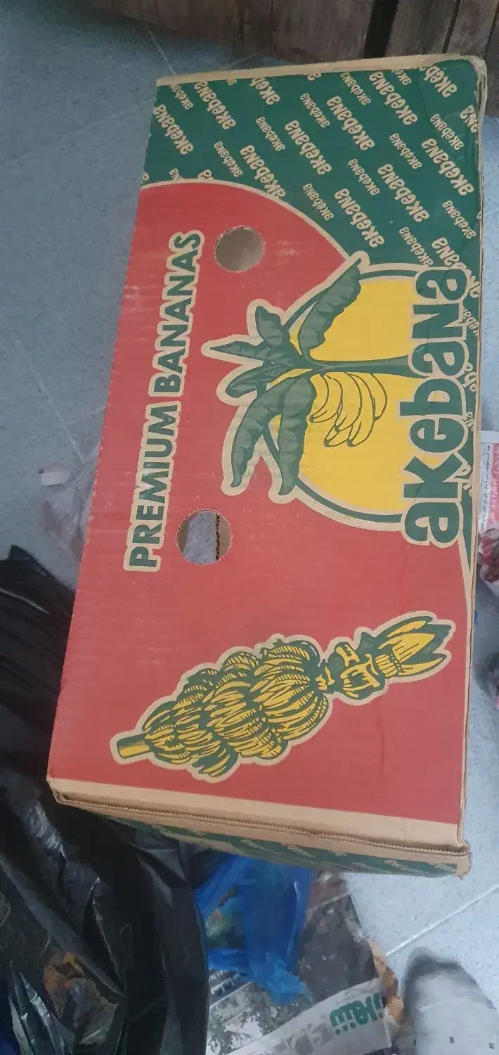 کارتن موزی برای اساس کشی|ابزارآلات|سلمان‌شهر, |دیوار