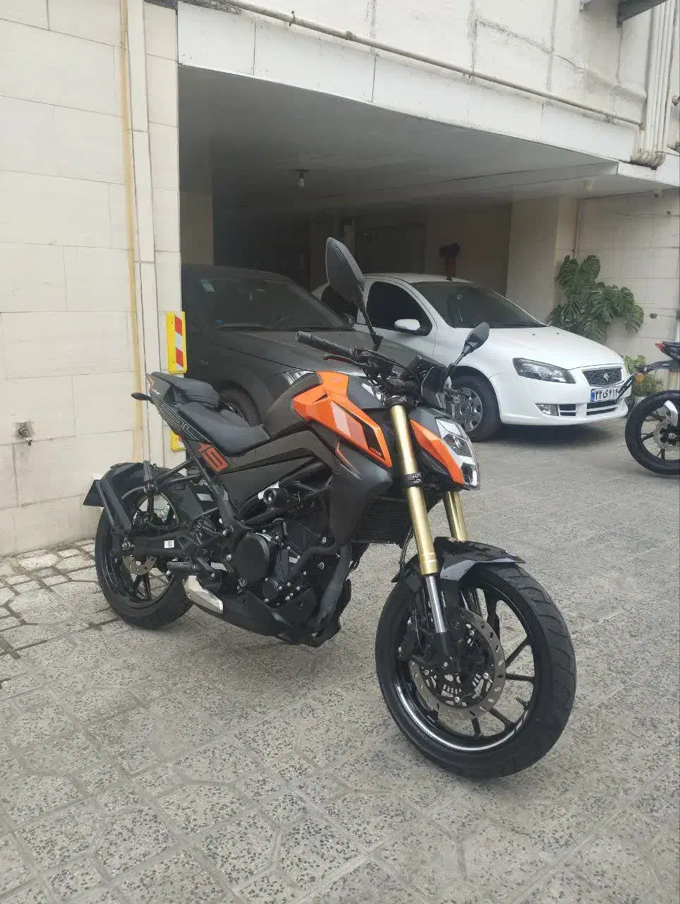 کی وی250. CF ns RS نه بلنتا بنلی زونتس 300 200 ریس|موتورسیکلت|رشت, فلسطین|دیوار