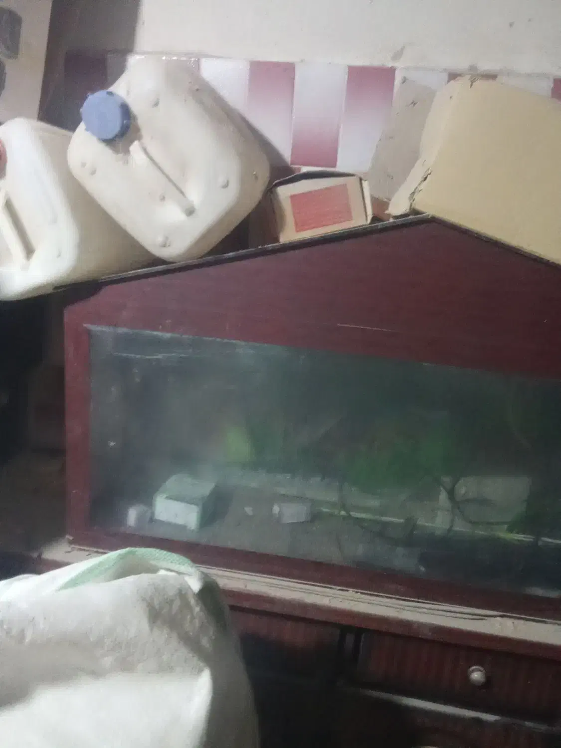 آکواریوم|لوازم جانبی حیوانات|ایرانشهر, |دیوار