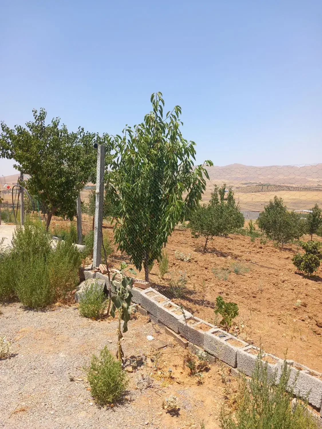 فردشفوریخانهباغیدرشهرسقزنزدیکجادهصاحبسقز|فروش خانه و ویلا|زیویه, |دیوار