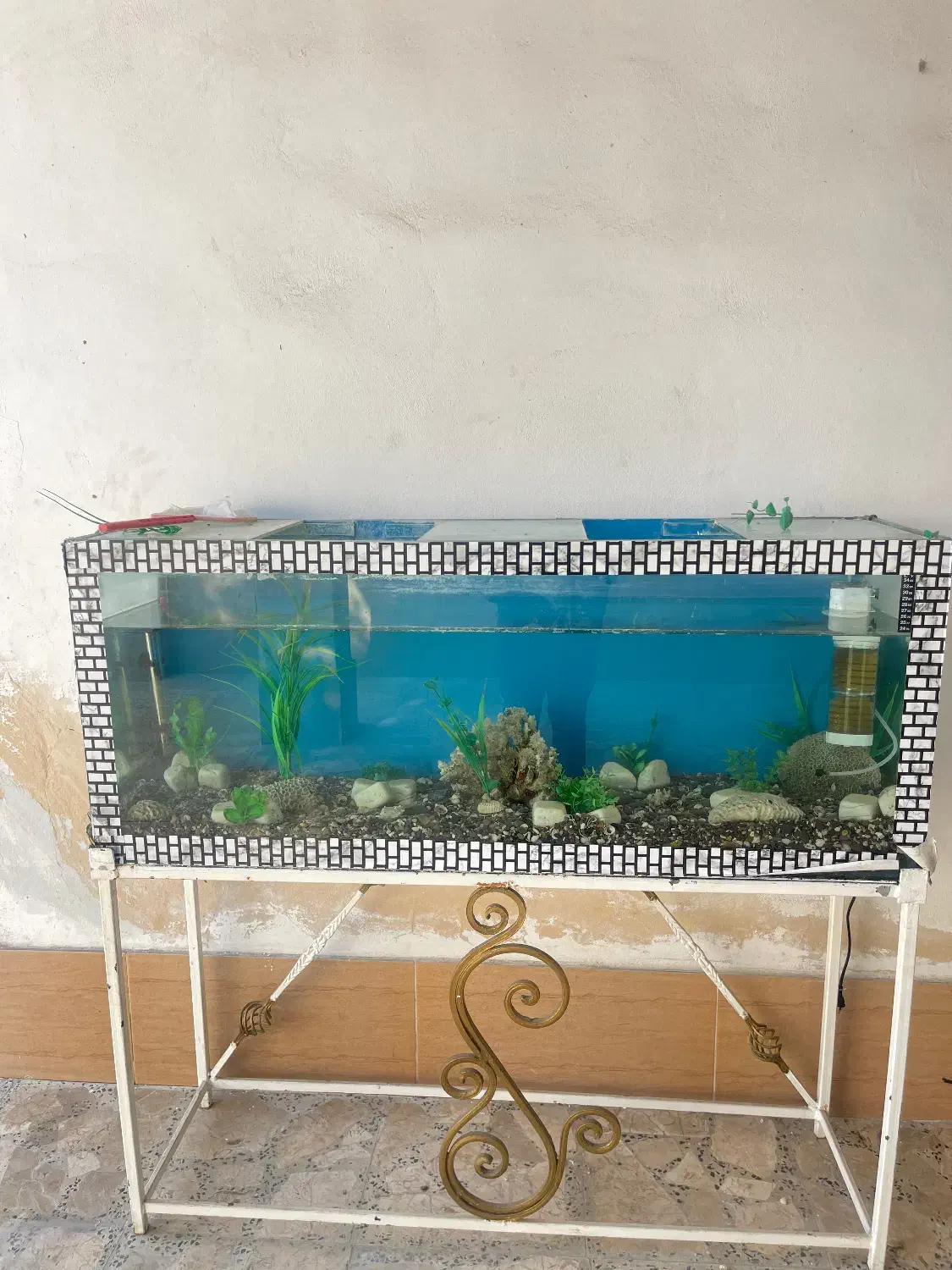 اکواریم سالم و تمیز با لوازم کامل با پایه فلزی|ماهی|آمل, |دیوار