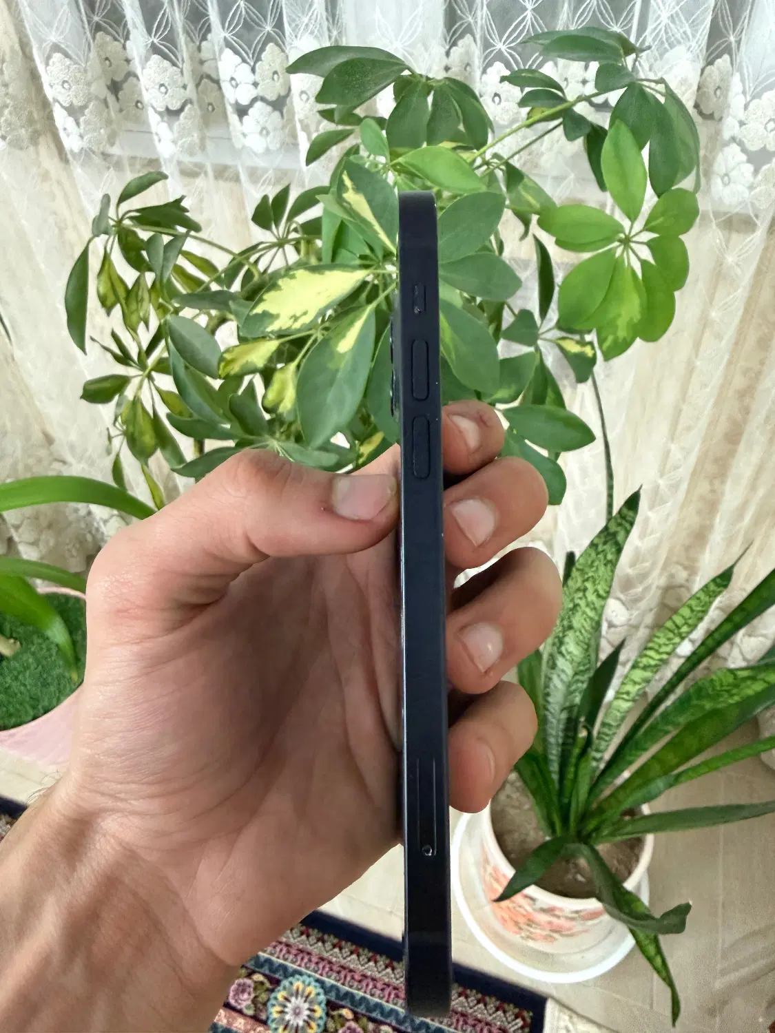 iPhone 12 Normal تمیز|موبایل|ملایر, |دیوار