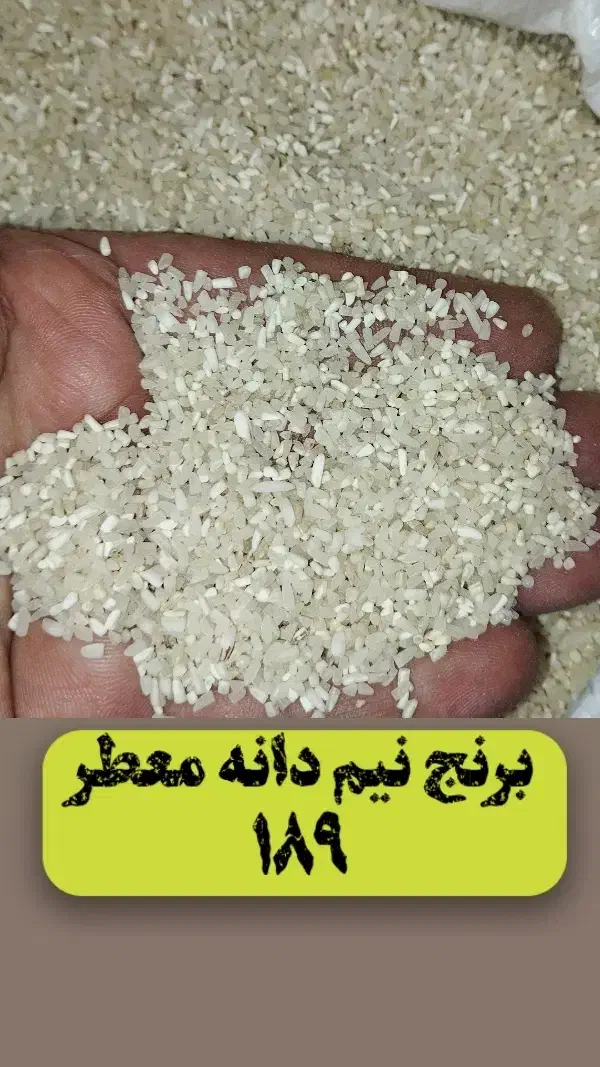 برنج سرلاشه طارم معطر ۲۳۰ هزار تومان|خوردنی و آشامیدنی|مشهد, شهرک رازی (شهرک غرب)|دیوار