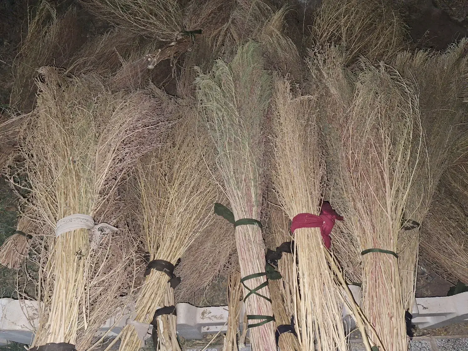 جارو|لوازم نظافت|تربتحیدریه, شهرک ولیعصر|دیوار