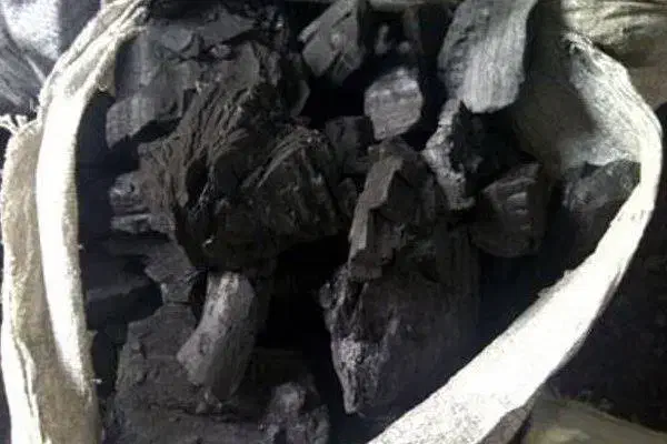 ز غ ال|خوردنی و آشامیدنی|الشتر, |دیوار