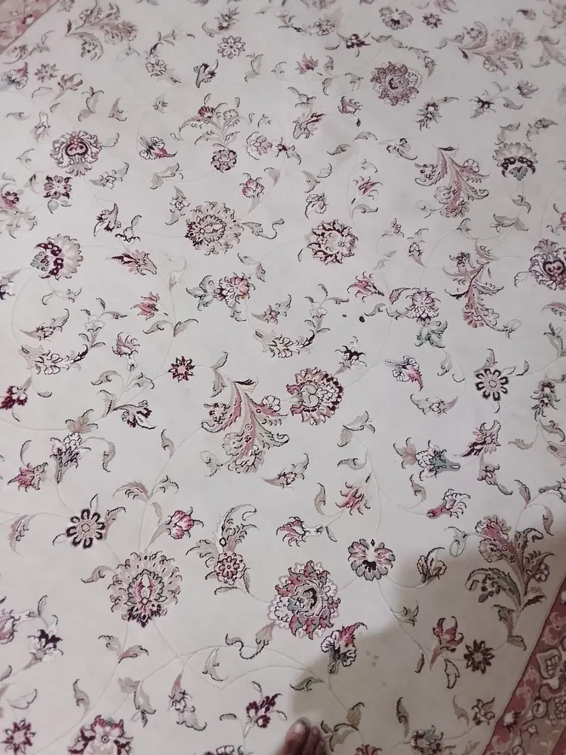 قالی نو به قیمت توافقی.  12متری|فرش|چابهار, |دیوار