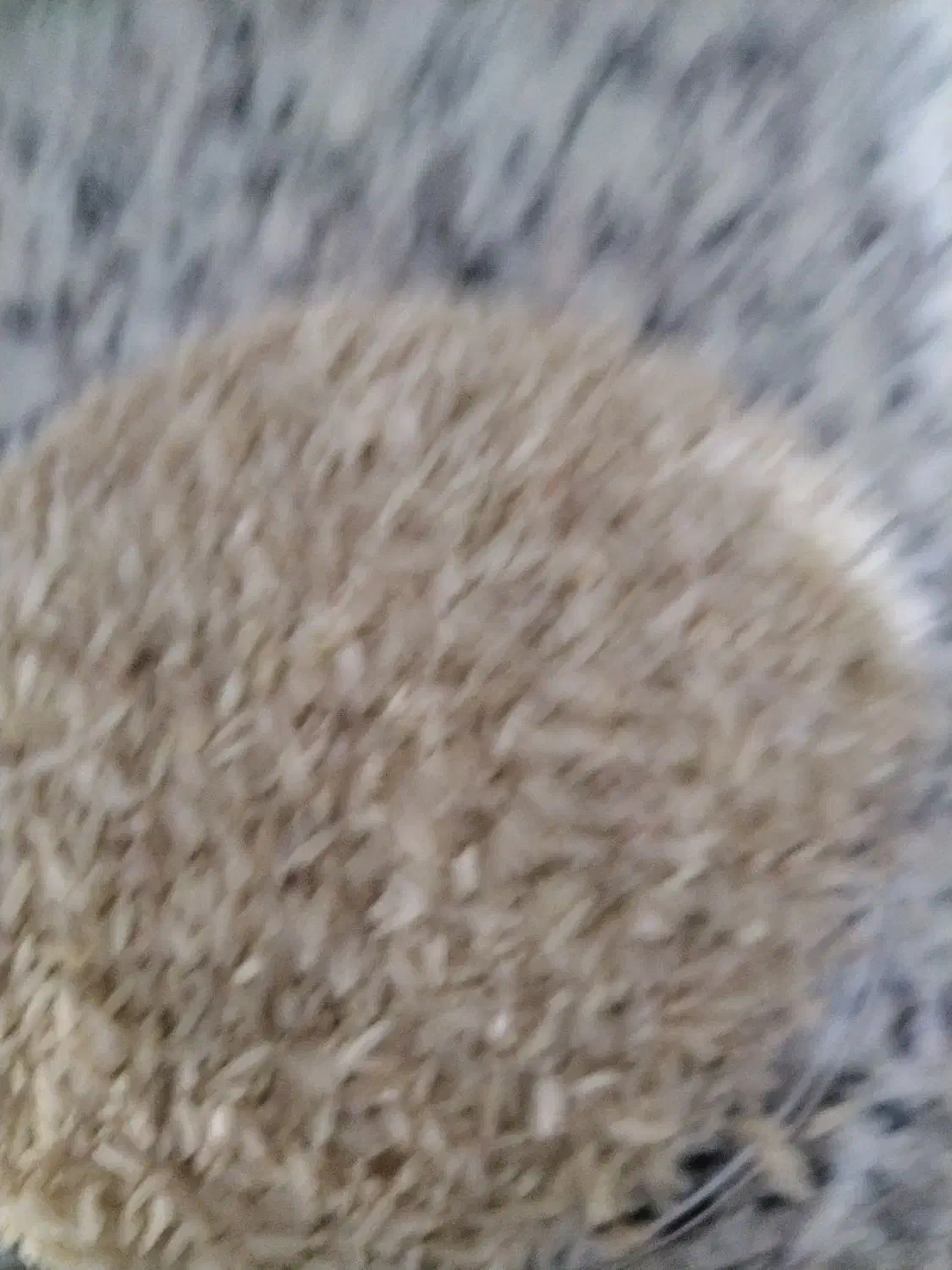 برنج فجر نورآباد ممستی|خوردنی و آشامیدنی|اصفهان, بهارستان|دیوار