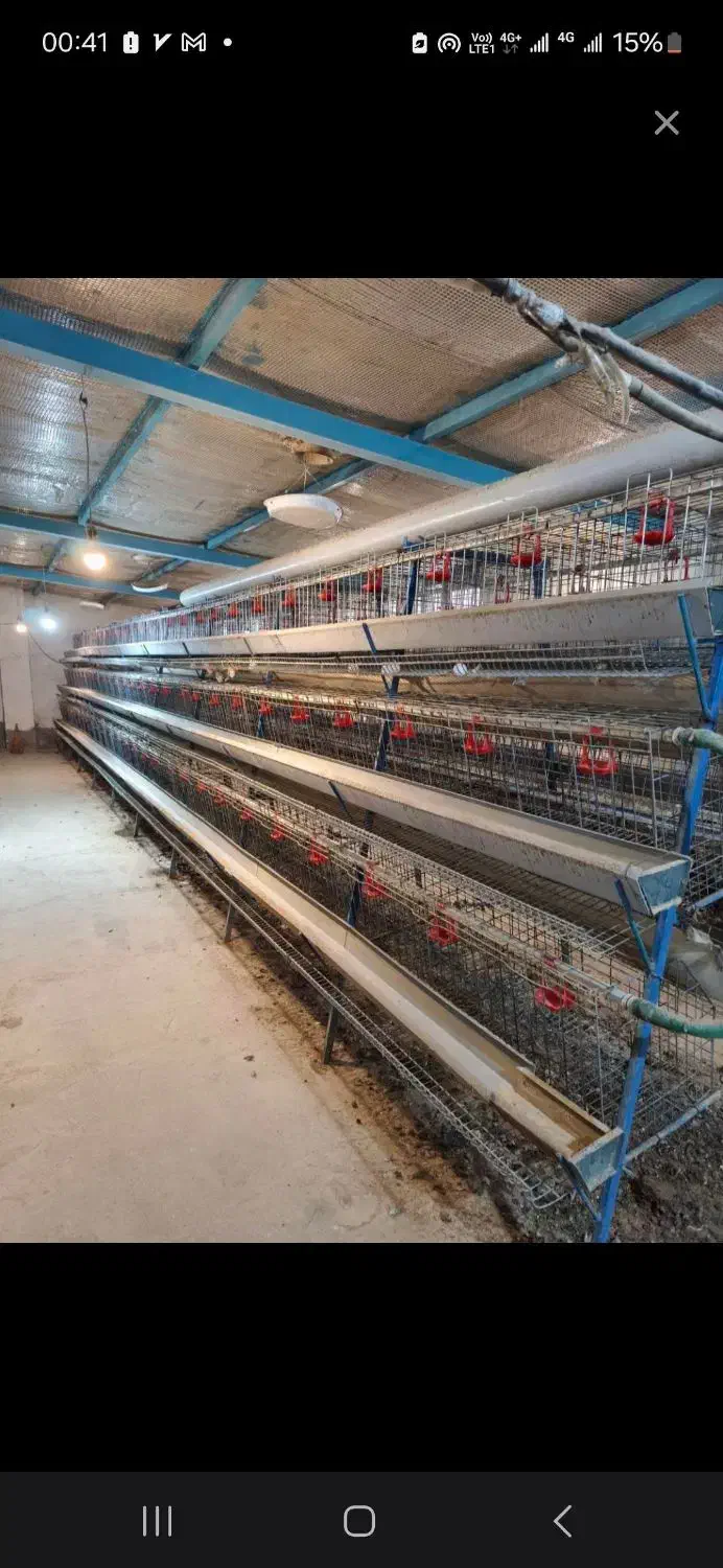 فروش قفس مرغ تخمگذار|فروشگاه و مغازه|مرند, |دیوار