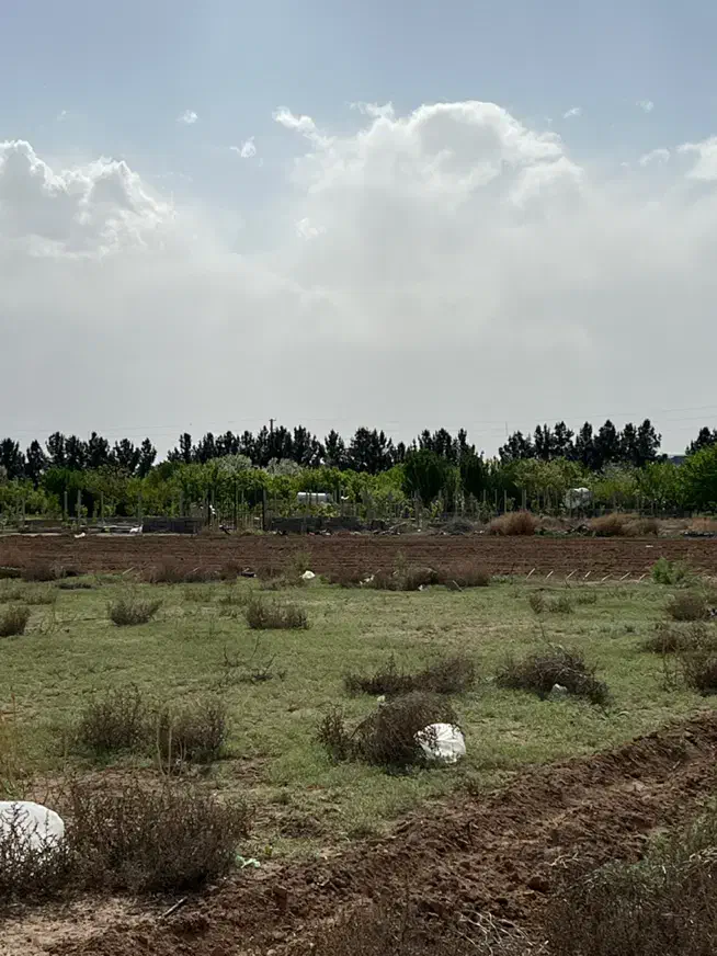 زمین سند دار باغ باغچه سهیلیه زعفرانیه|فروش زمین و ملک کلنگی|کرج, گلشهر|دیوار