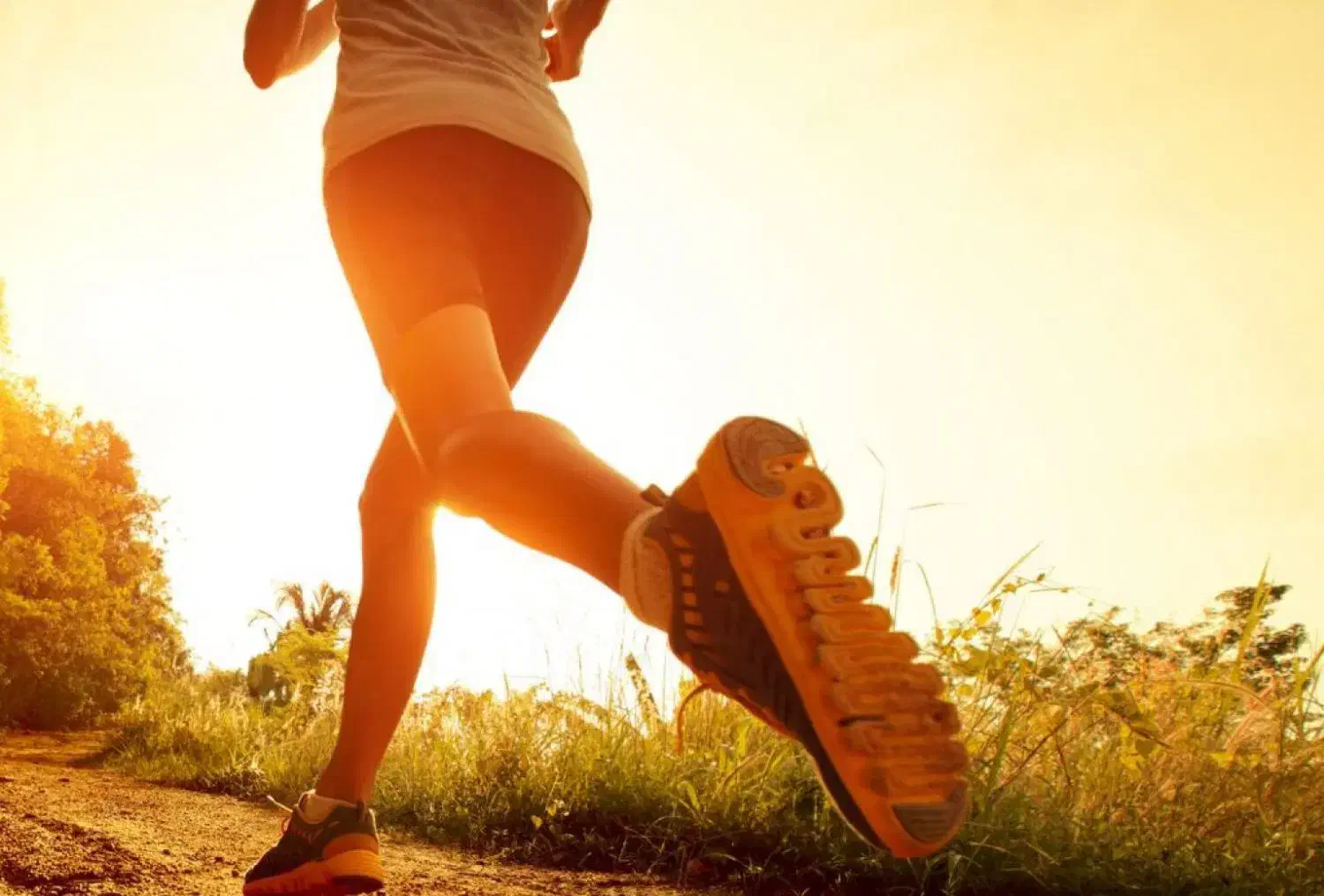 جلسه تمرینات هوازی|رویداد ورزشی|تهران, پردیسان|دیوار