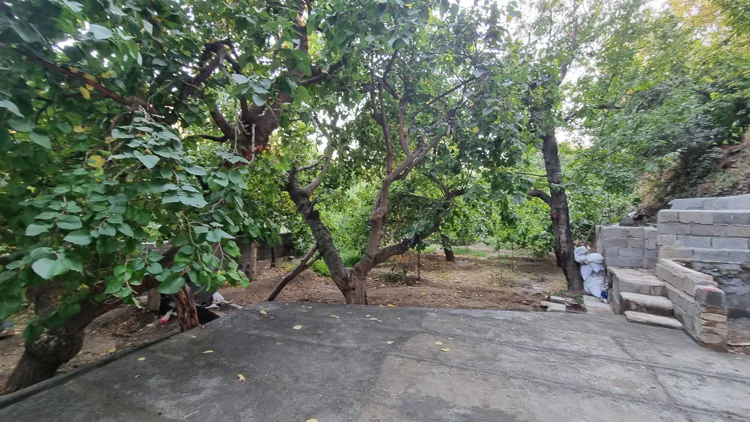 باغچه در روستای سولقان محله بالا|فروش زمین و ملک کلنگی|کن, |دیوار