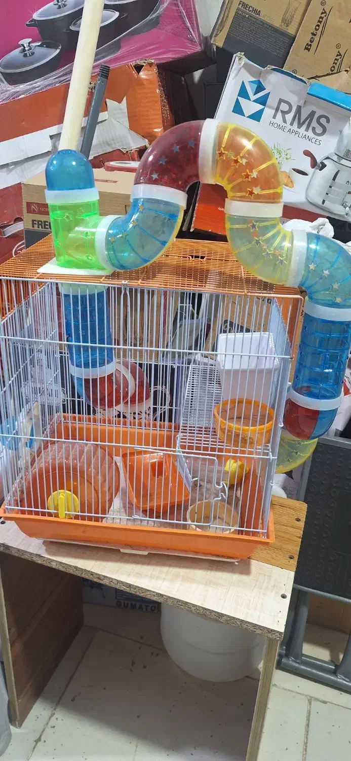 قفس|لوازم جانبی حیوانات|رشت, انصاری|دیوار