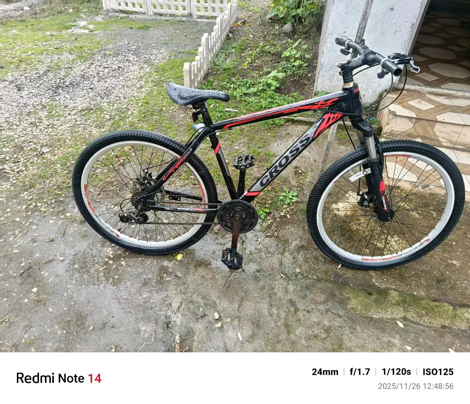 دوچرخه|دوچرخه، اسکیت، اسکوتر|لیسار, |دیوار