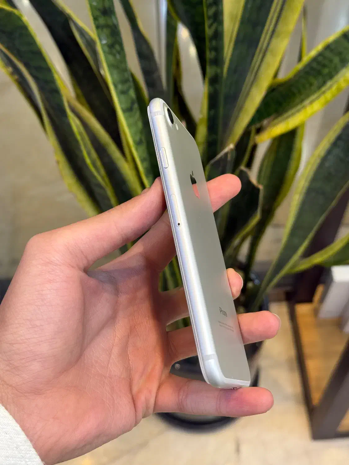 iPhone 7|موبایل|اصفهان, چرخاب|دیوار