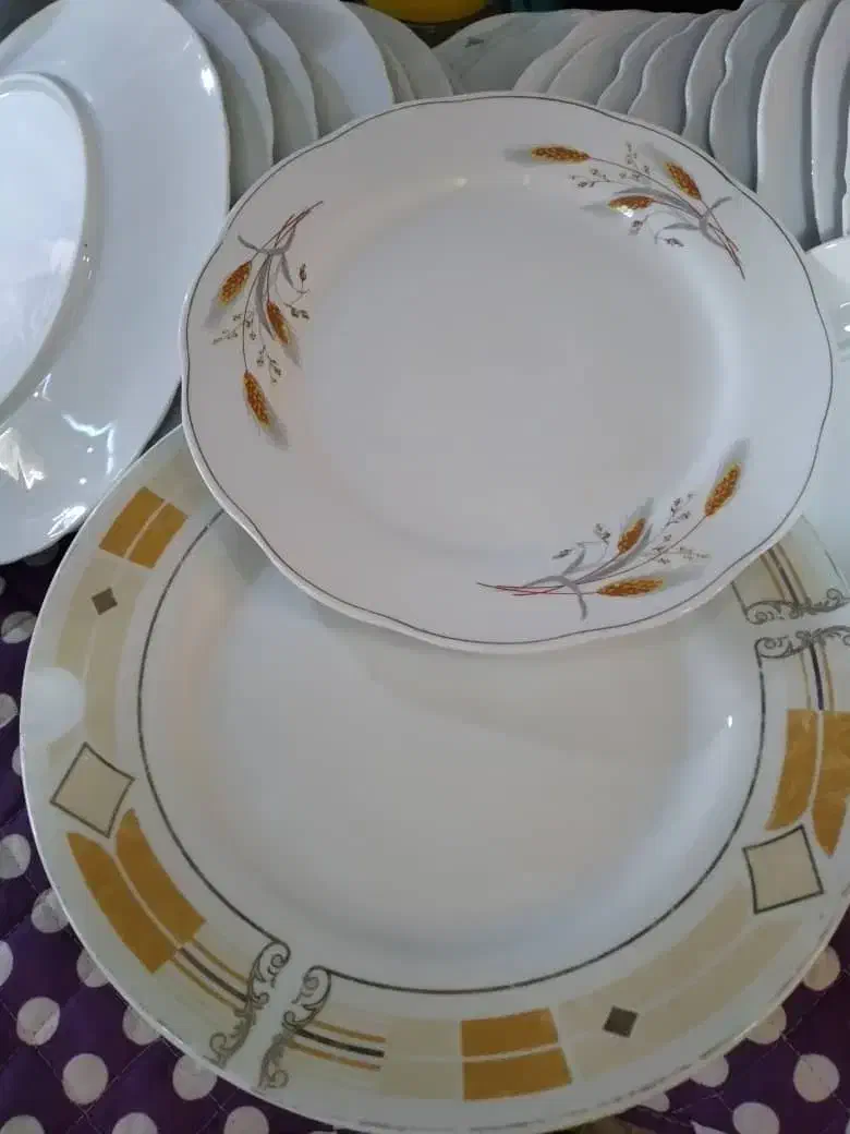 تعدادی بشقاب نو،استفاده نشده|ظروف سرو و پذیرایی|شیراز, شاپورجان|دیوار