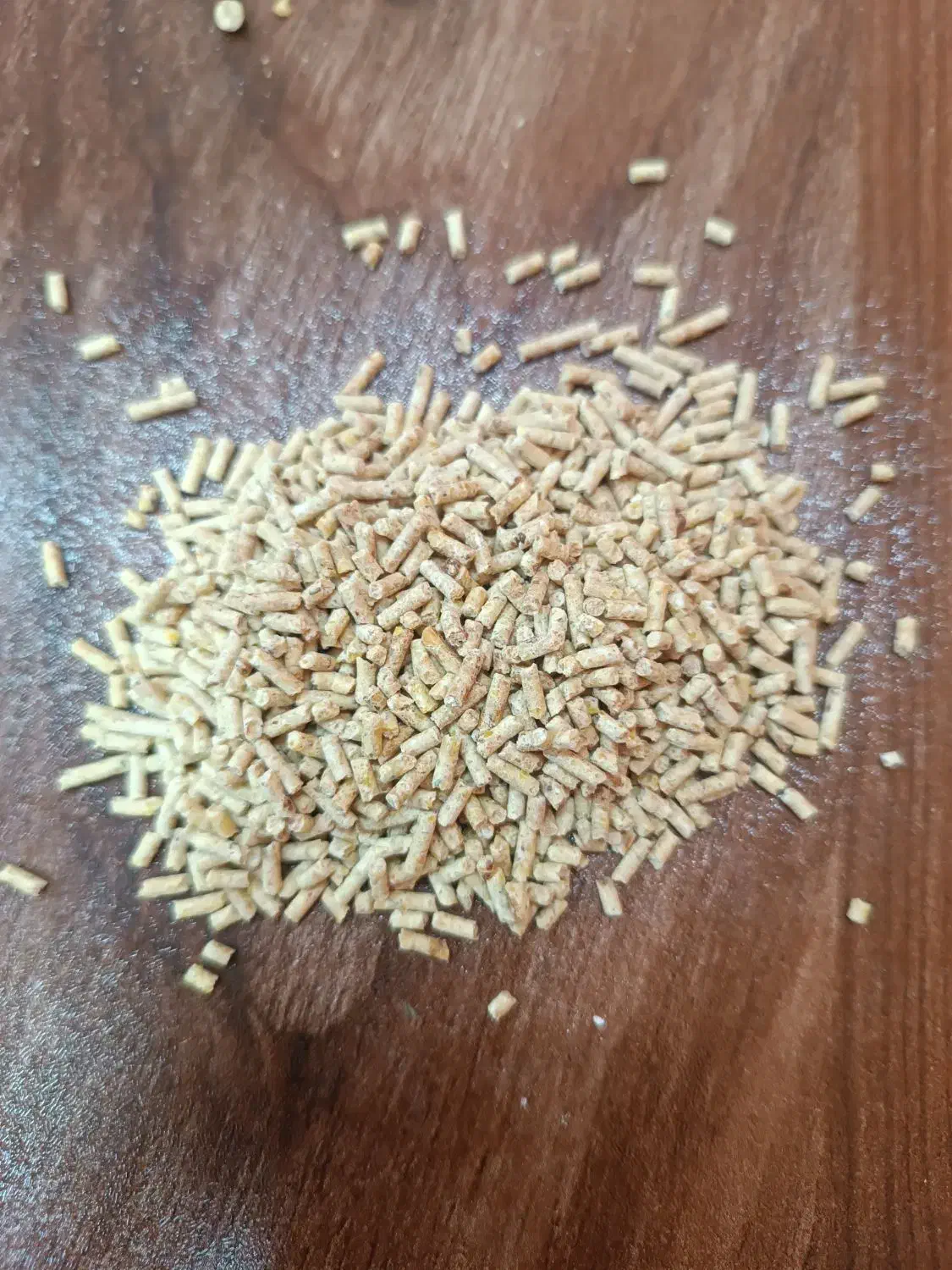 کنسانتره دامی و دان اماده طیور|لوازم جانبی حیوانات|بابل, |دیوار